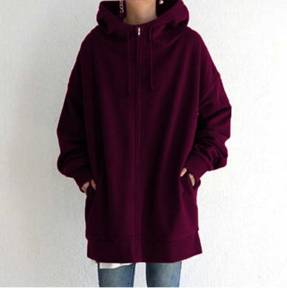 🌷Women's Autumn/Winter Zipper Hooded Sweater